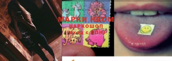 эйфоретик Инта