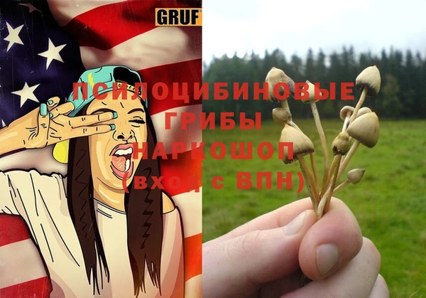 эйфоретик Инта