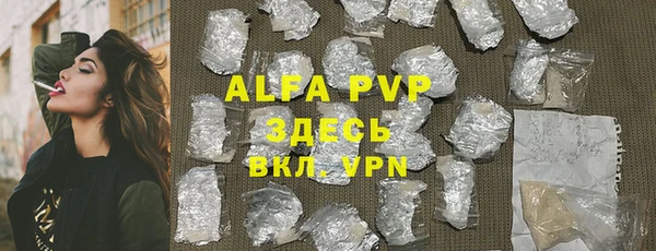 эйфоретик Инта