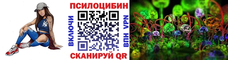 где купить наркоту  ссылка на мегу ссылка  Галлюциногенные грибы мухоморы  Камышин 