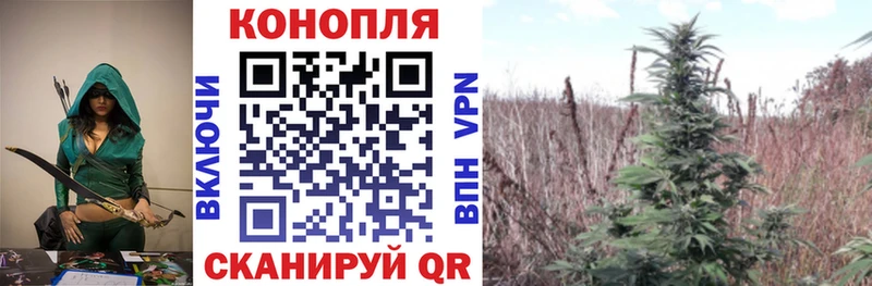 Бошки Шишки гибрид  маркетплейс наркотические препараты  Камышин  продажа наркотиков 